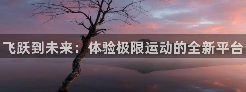 海南一竞技官网下载:飞跃到未来:体验极限运动的全新平台