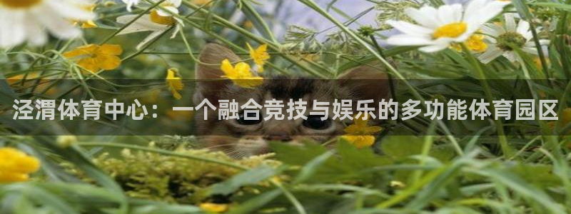 一竞技官网下载招商电话号码查询:泾渭体育中心:一个融合竞技与